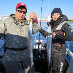 Chase（チェイス） 釣果