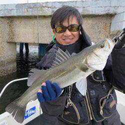 Chase（チェイス） 釣果