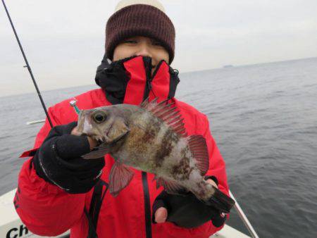 Chase（チェイス） 釣果