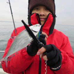 Chase（チェイス） 釣果