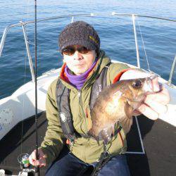 Chase（チェイス） 釣果