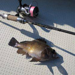 Chase（チェイス） 釣果