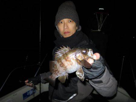 Chase(チェイス) 釣果