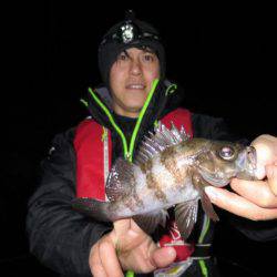 Chase(チェイス) 釣果