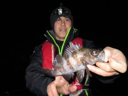 Chase(チェイス) 釣果