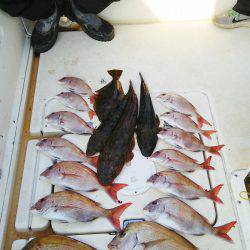 マリンガイド福丸 釣果