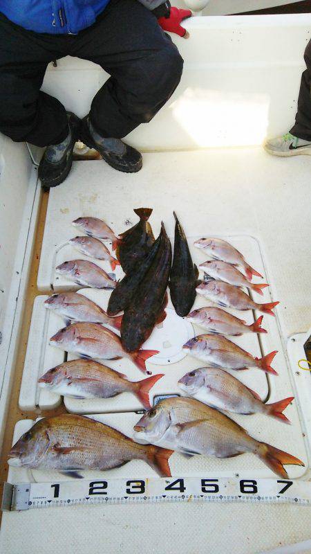 マリンガイド福丸 釣果