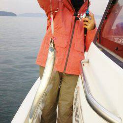 マリンガイド福丸 釣果