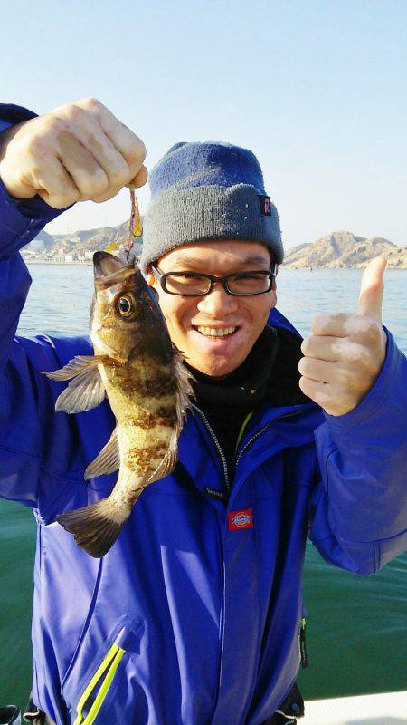 マリンガイド福丸 釣果