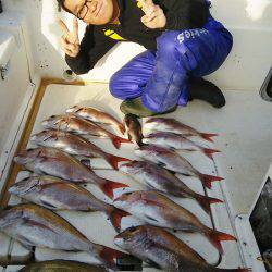 マリンガイド福丸 釣果