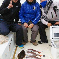 マリンガイド福丸 釣果