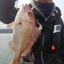 マリンガイド福丸 釣果