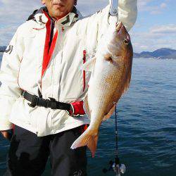 マリンガイド福丸 釣果