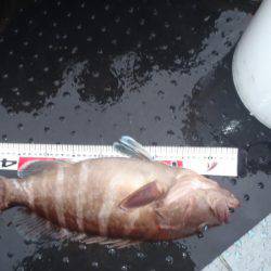 第二龍勢丸 釣果