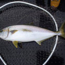 第二龍勢丸 釣果