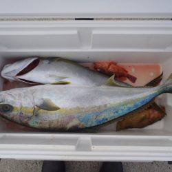 第二龍勢丸 釣果