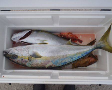 第二龍勢丸 釣果