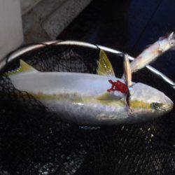 第二龍勢丸 釣果