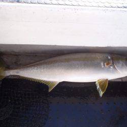 第二龍勢丸 釣果