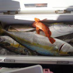 第二龍勢丸 釣果