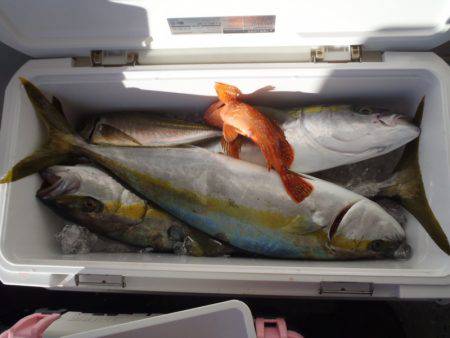 第二龍勢丸 釣果