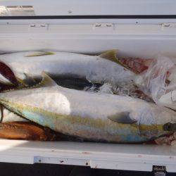 第二龍勢丸 釣果