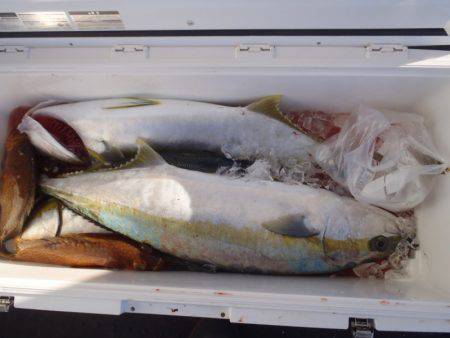 第二龍勢丸 釣果