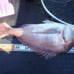 第二龍勢丸 釣果