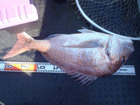 第二龍勢丸 釣果