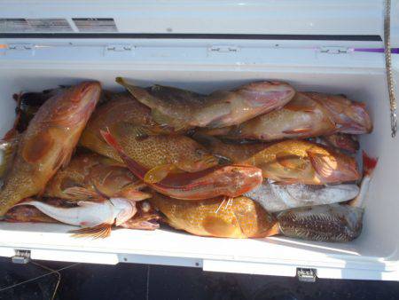 第二龍勢丸 釣果