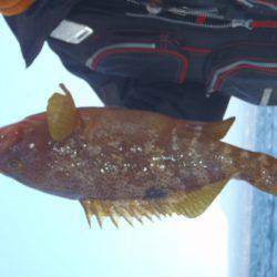 第二龍勢丸 釣果