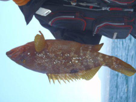 第二龍勢丸 釣果