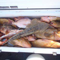 第二龍勢丸 釣果