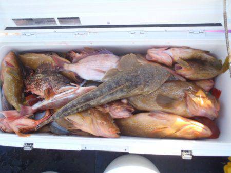 第二龍勢丸 釣果