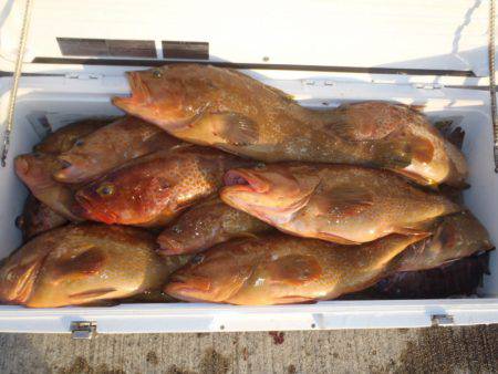 第二龍勢丸 釣果