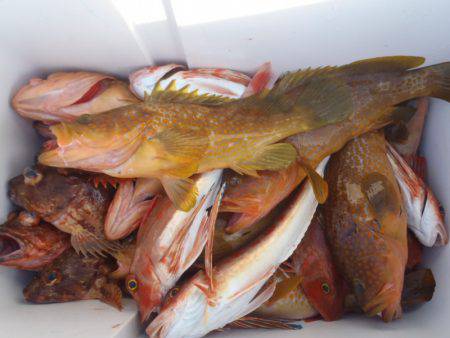 第二龍勢丸 釣果