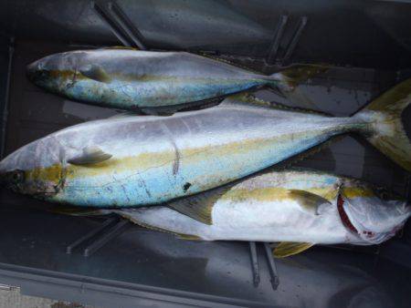 第二龍勢丸 釣果