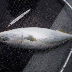 第二龍勢丸 釣果