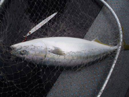 第二龍勢丸 釣果