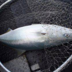 第二龍勢丸 釣果