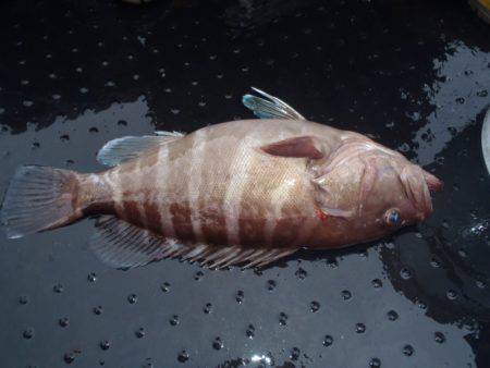 第二龍勢丸 釣果