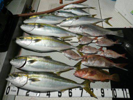 オーシャンスター(Ocean Star) …