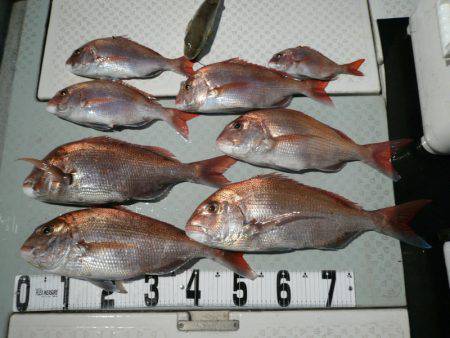 オーシャンスター(Ocean Star) …