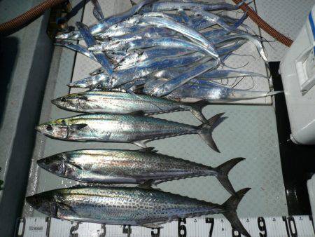 オーシャンスター(Ocean Star) …