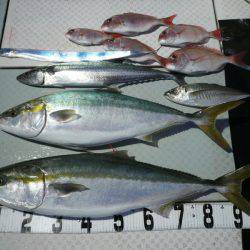 オーシャンスター(Ocean Star) 釣果