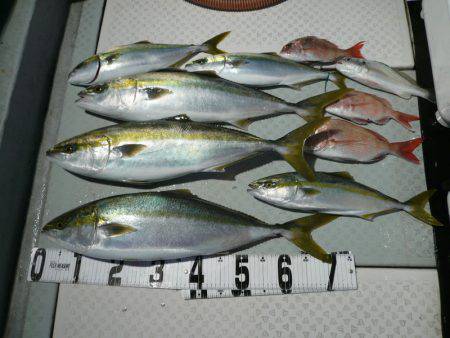 オーシャンスター(Ocean Star) …