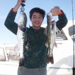 ＪＤＩ　Ｒａｃｉｎｇ　シールズマリンレジャー 釣果