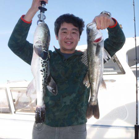 ＪＤＩ　Ｒａｃｉｎｇ　シールズマリンレジャー 釣果