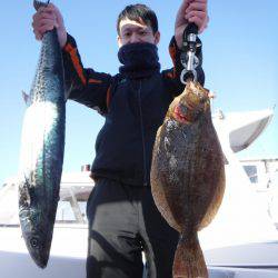 ＪＤＩ　Ｒａｃｉｎｇ　シールズマリンレジャー 釣果