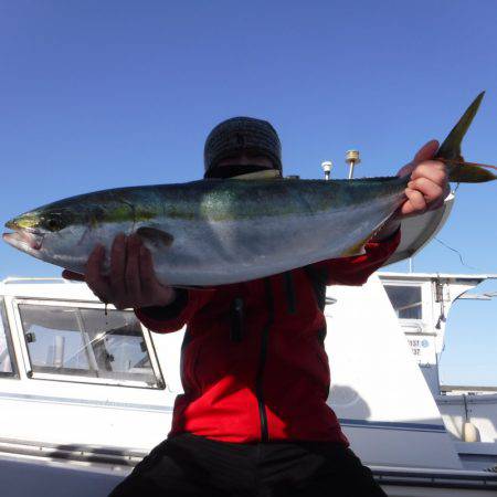 ＪＤＩ　Ｒａｃｉｎｇ　シールズマリンレジャ…